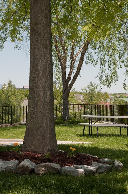 The Stone Castle Hotel & Conference Center Branson Exteriör bild
